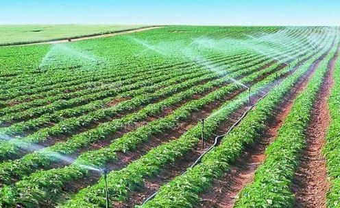 看操屄的农田高 效节水灌溉